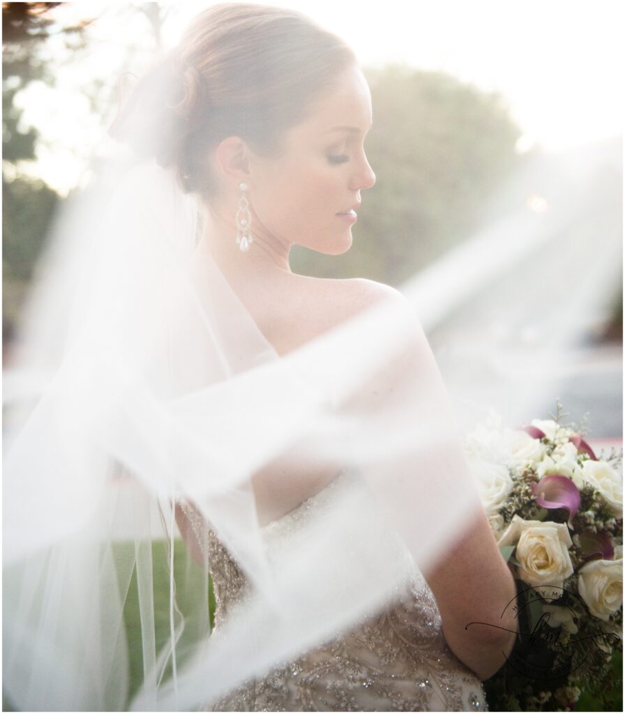 woman wearing a wedding dress