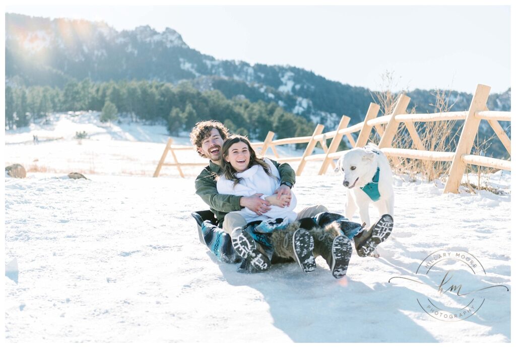 couple sitting in sled next to dog